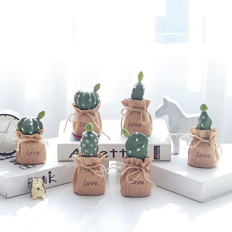 Mini Cactus Bonsai