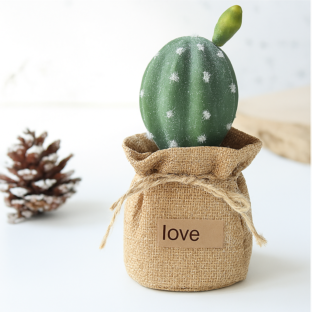 Mini Cactus Bonsai