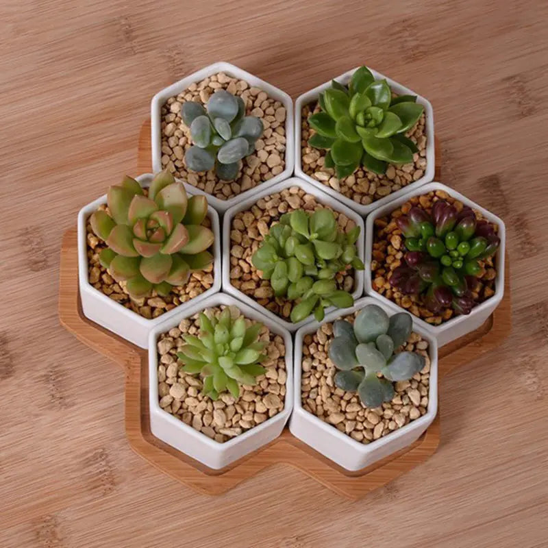 Set Cerámicas Hexagonales Blancas