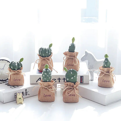 Mini Cactus Bonsai