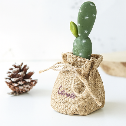 Mini Cactus Bonsai