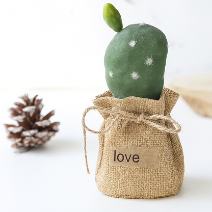 Mini Cactus Bonsai