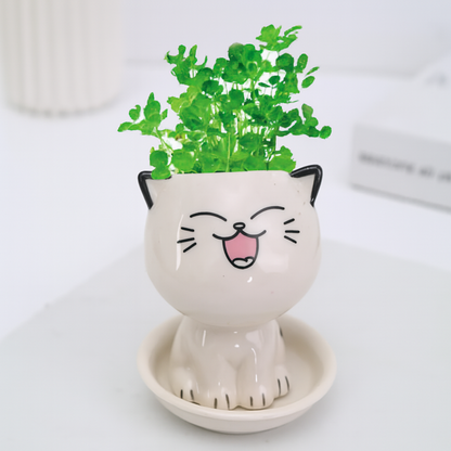 Mini Gatito Smile