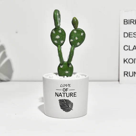 Cactus Estilo Nórdico