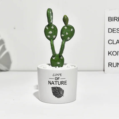 Cactus Estilo Nórdico