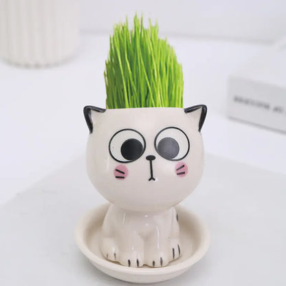 Mini Gatito Smile