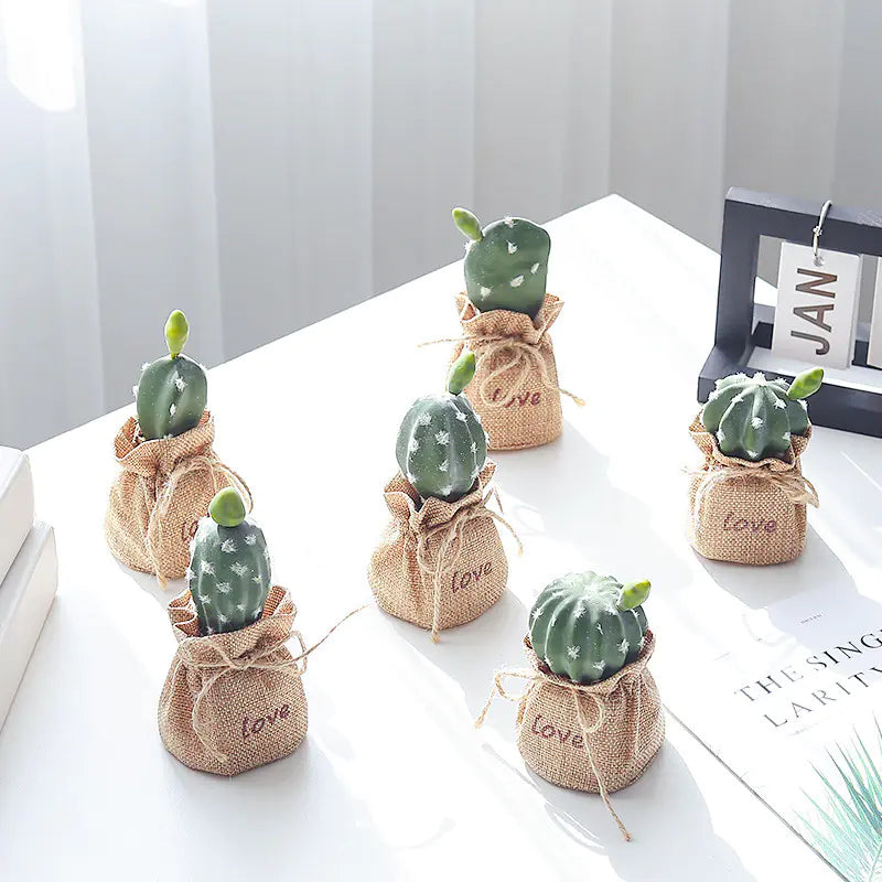 Mini Cactus Bonsai