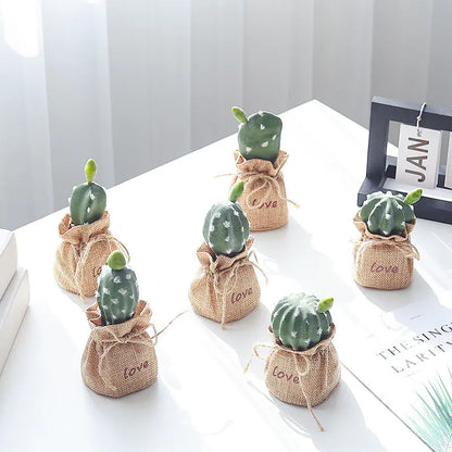 Mini Cactus Bonsai