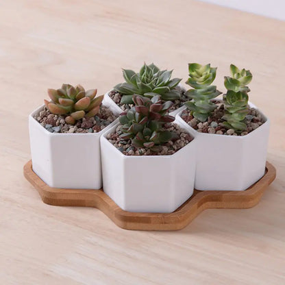 Set Cerámicas Hexagonales Blancas
