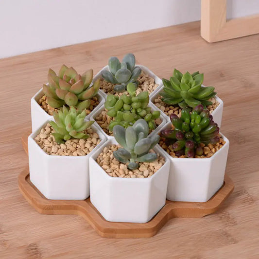 Set Cerámicas Hexagonales Blancas