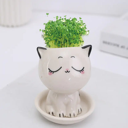 Mini Gatito Smile